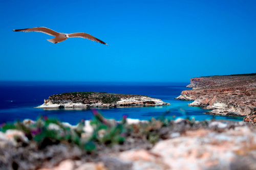 Casa Vacanze - Le villette di Cala Galera - Lampedusa